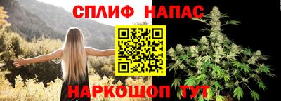 сатива Ачхой-Мартан