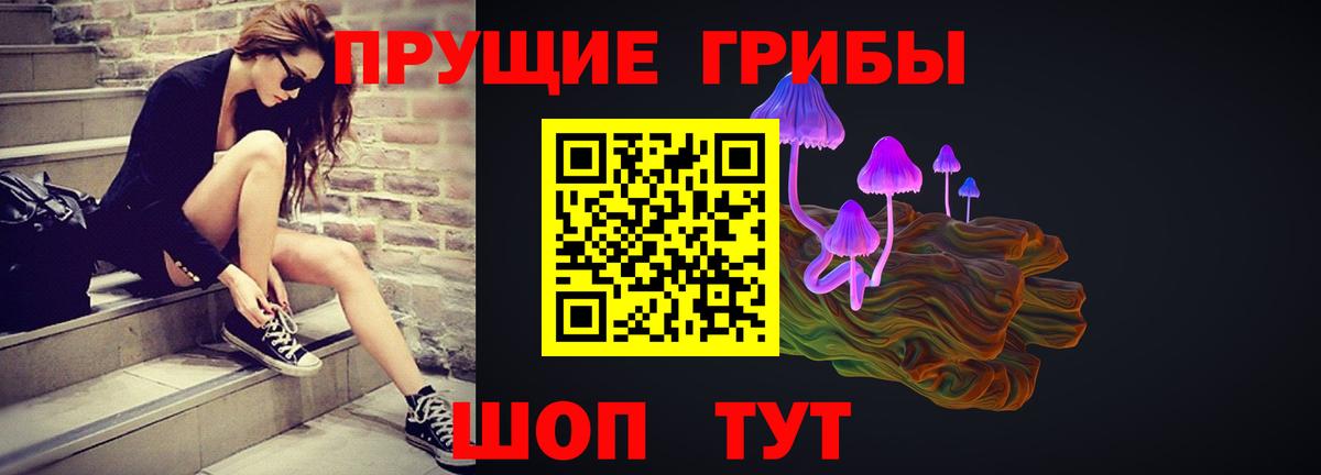 Каменка  Псилоцибиновые грибы MAGIC MUSHROOMS  Вход с VPN  Псилоцибиновые грибы прущие грибы 